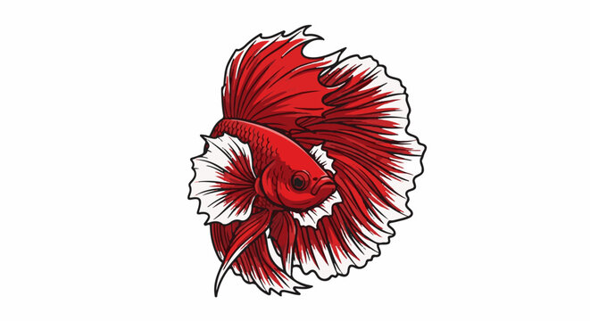Stylized illustration of a vibrant red Betta fish with flowing fins