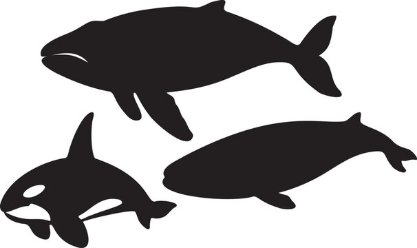 Whales Eps, Vector File Black and White