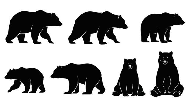 Set of black bear silhouettes in various poses