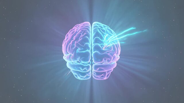 Glowing Brain Left Right Hemisphere Concept Neon Light