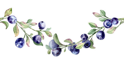 Watercolor bilberry and blueberry seamless border illustration isolated. Hand painted ripe fruits on wavy branches with green leaf. Botanical repeat background with blue berry element for textile. © Ekaterina Lanbina