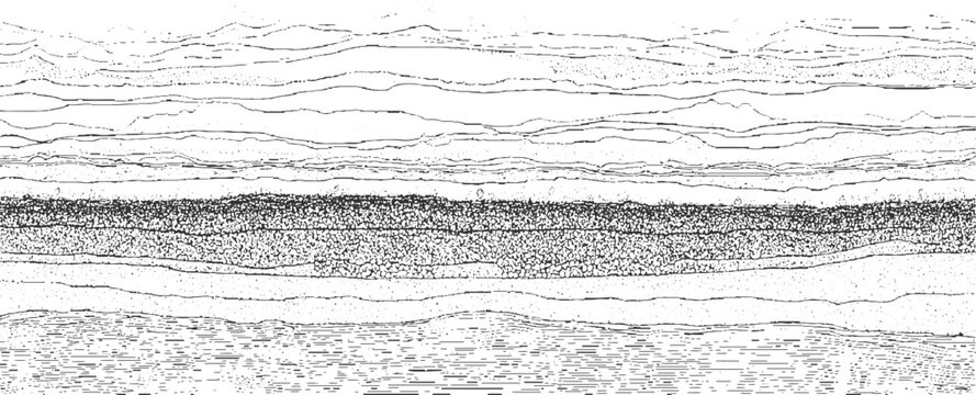 Black and white cross section of layered geological strata with varied textures and wavy lines abstract