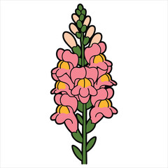Elegant cluster of foxglove flowers with delicate pink and yellow blooms © siful art