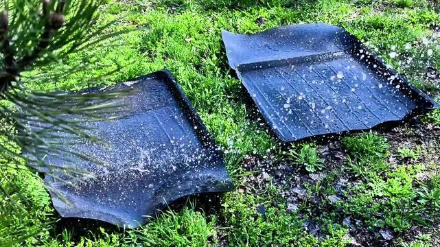 Cleaning black car floor mat on green grass with water pressure. Car floor mat gets washed outside during spring maintenance. Rubber vehicle accessory cleaning process shows dirt removal.