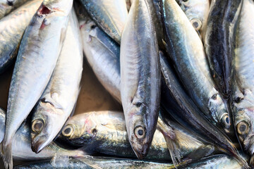 Obraz premium Freshly caught Mackerel fish on ice at a market stall