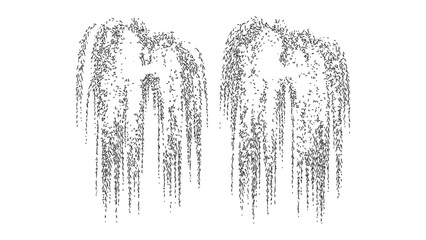 Two symmetrical weeping willow branches abstract shapes grey background. © Sara Studio