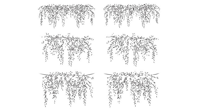 Hanging creeper vine illustration in minimalist black outline style for garden design art.