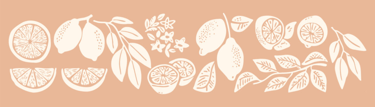 Hand drawn mediterranean lemon vector set with rustic linocut citrus fruit, branch and botanical leaves in a minimal aesthetic cottagecore design for amalfi summer print and organic shape