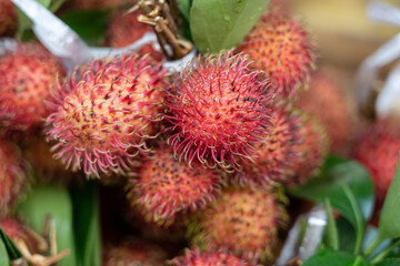 Fototapeta premium Fresh rambutan fruits displaying exotic red hairy skin