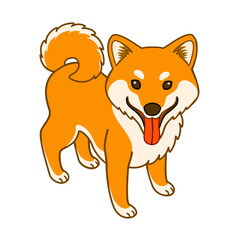 Fototapeta premium Japan domestic dog Shiba Inu