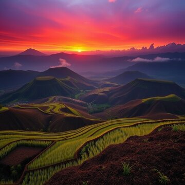 Terraced rice paddies at Mount Bromo during dramatic sunrise in Java