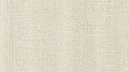 Fototapeta premium Elegant Woven Surface, Background, Backdrop with Subtle Detailed Texture for Interior Elements