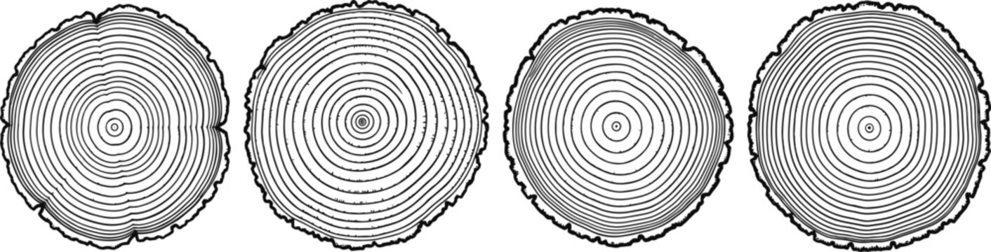 Four Cross Sections of Tree Trunks Showing Annual Growth Rings and Wood Grain Patterns for Forestry, Nature, Ecology, and Scientific Design Projects