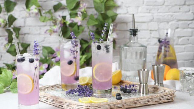 Summer refreshing lavender spritz cocktail with blueberries based on gin. Horizontal video. Medium shot
