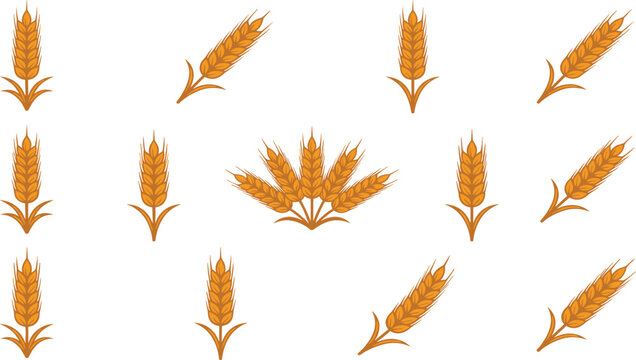Wheat Grain Icons Set Featuring Golden Ears Bundles and Isolated Agricultural Crop Elements for Farming Harvest Organic Food and Botanical Design Collection.