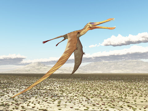 Flugsaurier Anhanguera &uuml;ber einer kargen Landschaft