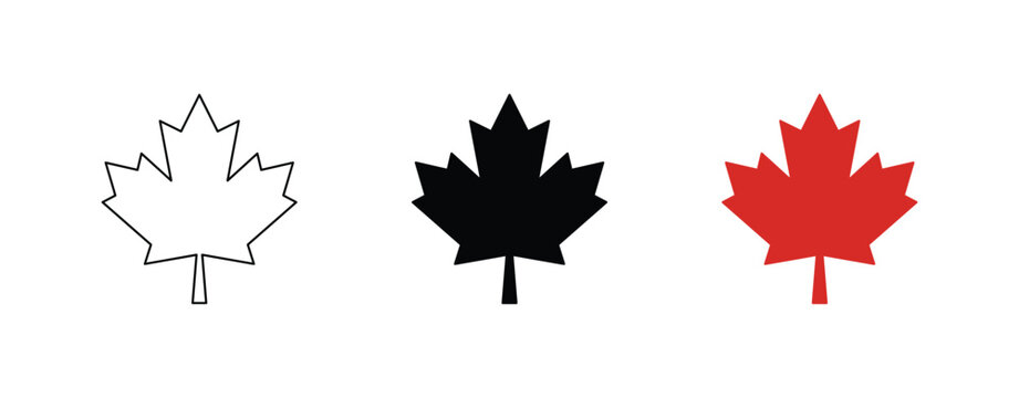 Maple leaf set featuring black red and outline shapes for graphic design projects and decorative natural branding