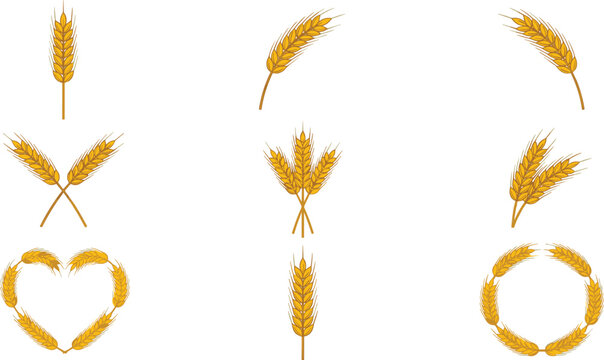 Wheat Grain Icons Set Featuring Golden Ears Bundles Heart Shape and Wreath Designs for Agriculture Harvest Organic Food and Farming Symbol Collection.