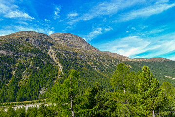 Naklejka premium Blick auf markante Berghänge im Berninatal hinter grünen Nadelbäumen im Sommer