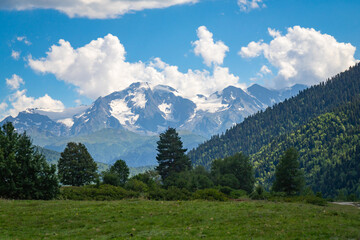 Obraz premium Lush green meadows and forested slopes climbing to snow-capped caucasus peaks in svaneti beneath a bright blue sky with white clouds, serene alpine panorama