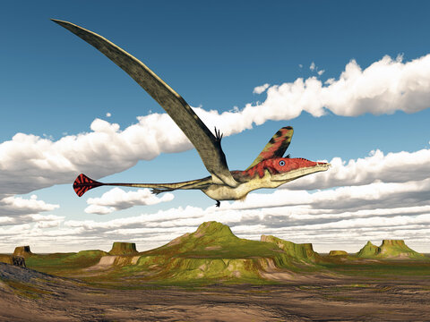 Flugsaurier Eudimorphodon &uuml;ber einer kargen Landschaft