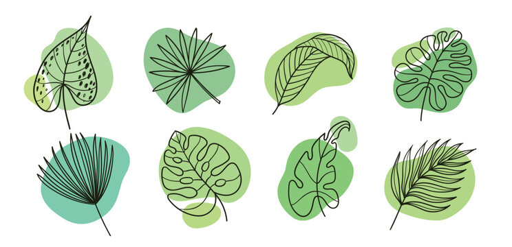 Tropical leaves vector set with palm, monstera, philodendron and caladium foliage on green blobs, hand drawn botanical outline collection of exotic jungle leaf elements