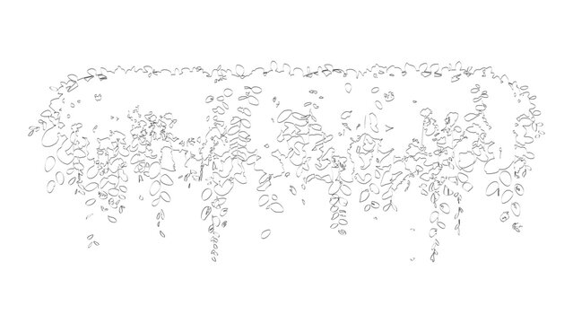 Decorative hanging plant leaves design in black line art style on clear white background.