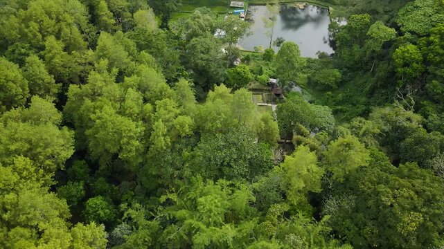 Aerial 4K view of an ancient stone temple in a lush tropical garden in Indonesia.