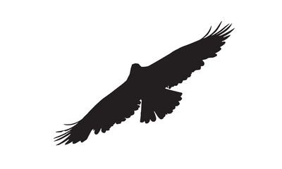 Fototapeta premium A vector illustration of the majestic Long-legged Buzzard (Buteo rufinus) in its natural habitat. A detailed illustration ideal for wildlife, birdwatching, and educational materials.