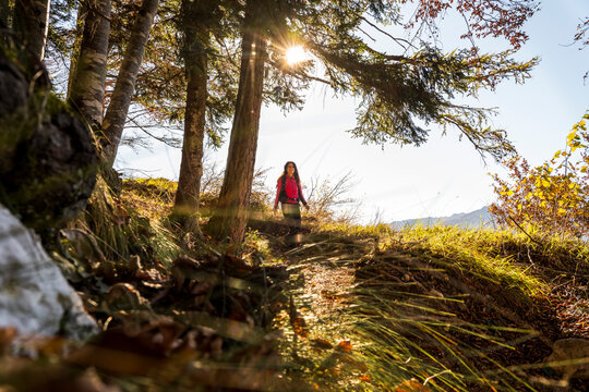 Woman hiking on a sunlit forest path with autumn foliage and sun rays, enjoying outdoor adventure and wellness in Forra del Lupo Trekking, Trentino, Italy.