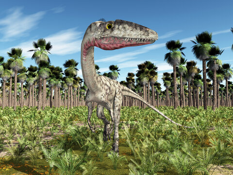 Dinosaurier Coelophysis in einem Urwald