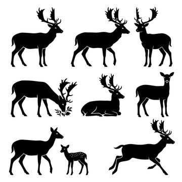 Black and white vector silhouette set of Fallow deer