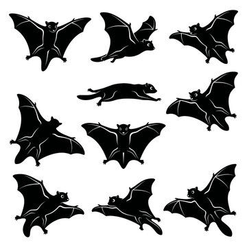 Black and white vector silhouette set of Flying Lemur