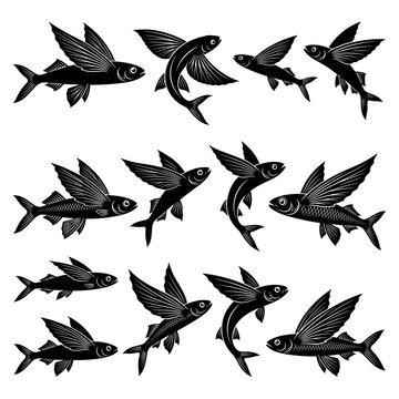 Black and white vector silhouette set of Flying Fish.