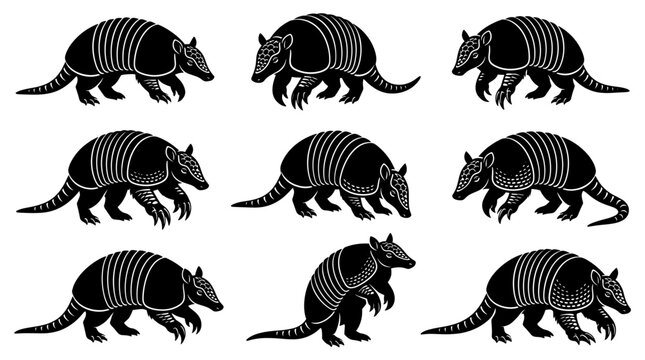 Black and white vector silhouette set of Giant Armadillo.