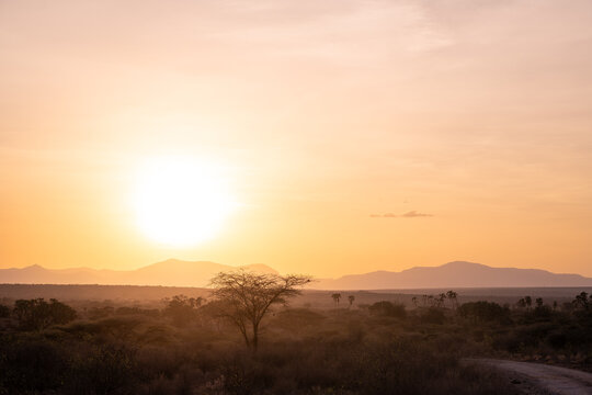 Amanecer en la Reserva Nacional de Samburu, Kenia &Aacute;frica