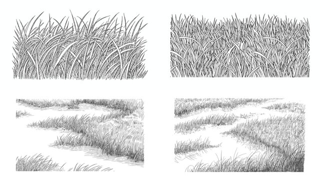 Vintage Engraving Style Marsh Grass and Wetland Scenery Collection
