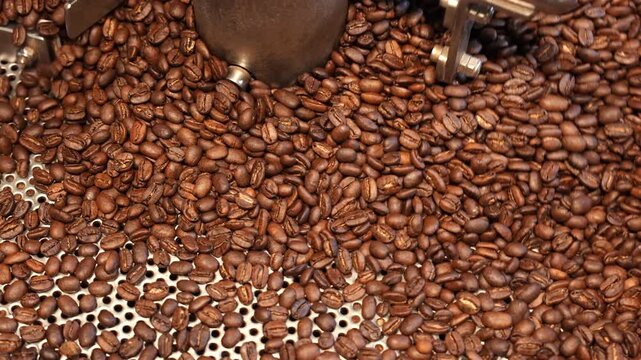 Cinematic Action of Professional Roasted Coffee Beans Agitating in Industrial Cooling Tray