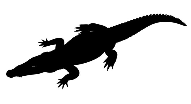 Crocodile silhouette vector, black alligator profile isolated on white background, predatory reptile graphic, wild swamp animal icon for logo design