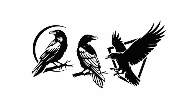 Three black ravens, one perched in a circle, one standing on a branch, and one flying in a triangle