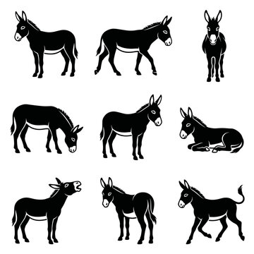 Black and white vector silhouette set of Donkey