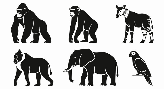 Minimalist wildlife animal silhouettes set including elephant gorilla okapi baboon chimpanzee and parrot for creative graphic projects