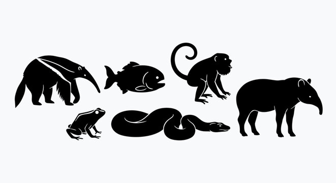 Minimalist black silhouette collection of amazon rainforest animals including anteater monkey piranha tapir frog and anaconda