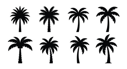 Obraz premium Set of black palm tree silhouettes on a white background, tropical icons