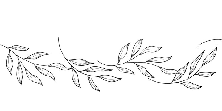 Spring branches of willow or olive, the sketch is hand-drawn. vector illustration. Seamless border, bamboo or eucalyptus branches pattern, isolated on a white background