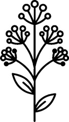 Obraz premium Botanical Wildflower Stem Illustration
