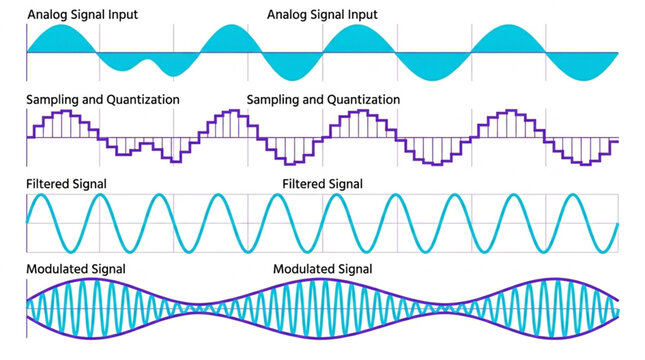 Various kinds of signal waveforms.