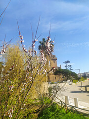 Fototapeta premium Radiant spring blossoms frame a historic stone tower under a clear blue sky. This serene scene captures the essence of European travel, perfect for lifestyle and tourism projects.