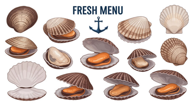 Fresh Menu Seafood Illustration with Shellfish Collection
