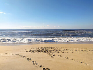 Fototapeta premium Capture the essence of summer with this bright beach scene. Crashing blue waves and golden sand with footprints create a peaceful metaphor for lifes journey and relaxation.